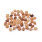 50 perles en résine 7x5mm - beige 50 perles en résine 7x5mm - beige