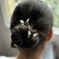 Pince cheveux papillon antique avec perles à facette