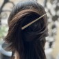 Pince cheveux concorde 12cm
