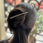 Pince cheveux concorde 12cm