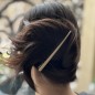 Pince cheveux concorde 12cm