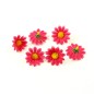 Lot de 10 fleurs marguerites fuchsia sans tige - fuchsia