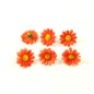Lot de 10 fleurs marguerites oranges sans tige - orange