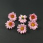 Lot de 10 fleurs marguerites roses sans tige - rose