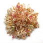 Broche fleur dentelle 12cm Broche fleur dentelle 12cm
