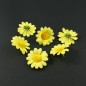 Lot de 10 fleurs marguerites jaunes sans tige 4.5cm - jaune