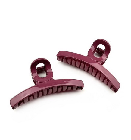 Lot de 2 pinces cheveux 8cm
