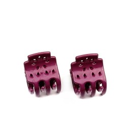 Lot de 2 pinces cheveux crabe 2.5cm