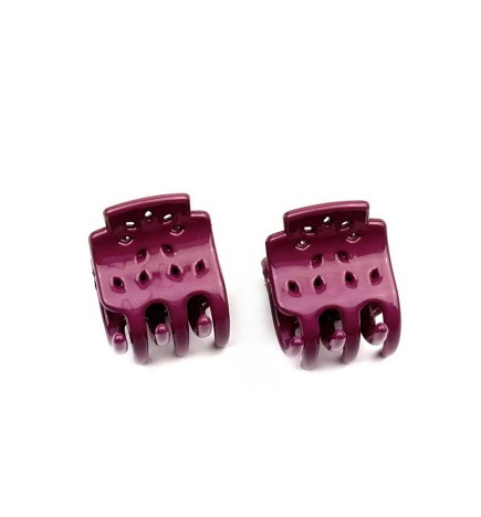 Lot de 2 petites pinces cheveux crabe 2.5cm