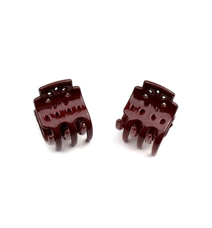 Lot de 2 pinces cheveux crabe 2.5cm