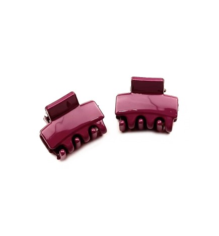 Lot de 2 petites pinces cheveux crabe 2.5cm