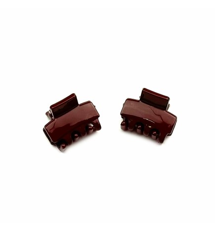 Lot de 2 petites pinces cheveux crabe 2.5cm