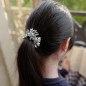 Elastique cheveux perles étoile ou bracelet - argent