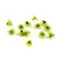 Lot de 10 petites fleurs en tissu organza vert environ 12mm