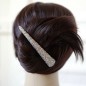 Grande pince cheveux concorde paillette 10.5cm - gris vert