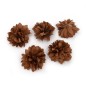Lot de 5 petites fleurs en tissu satin - camel
