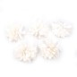Lot de 5 petites fleurs en tissu satin - blanc cassé