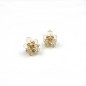 Lot de 2 petites pinces cheveux fleur transparentes - ivoire