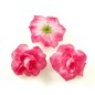 Lot de 10 fleurs artificielles sans tige diam. 40mm - fuchsia