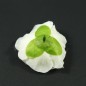 Fleur artificielle sans tige 6cm - Beige