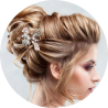 Epingles chignon
