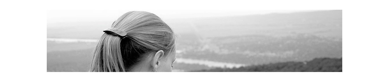 Barrettes cheveux