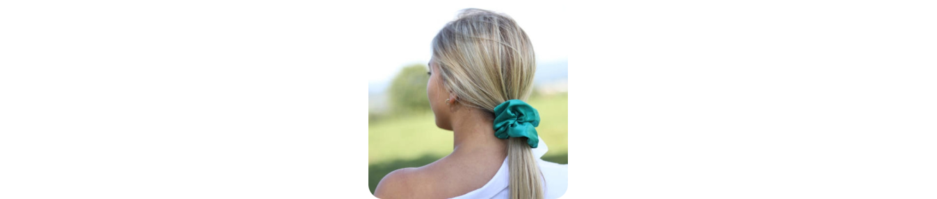 Elastique cheveux et chouchou