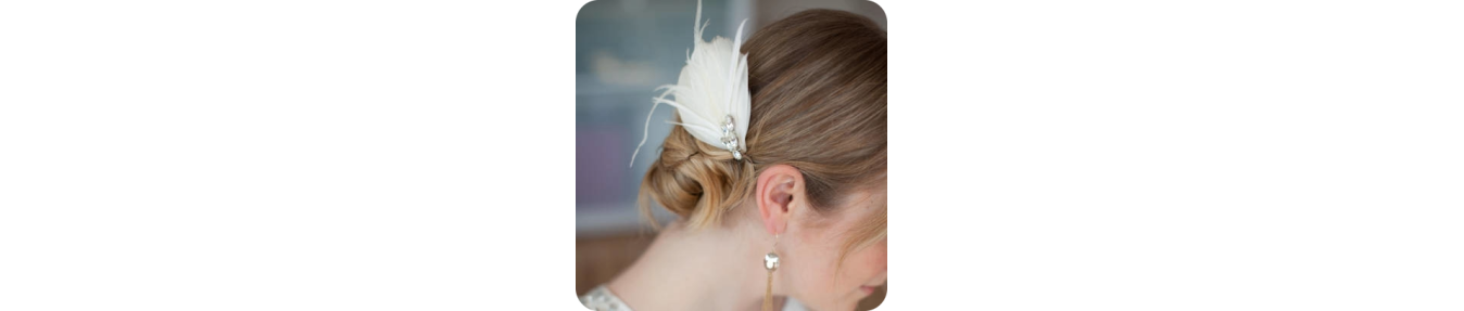 Pinces cheveux