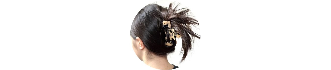 Pinces cheveux