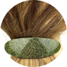 Barrettes cheveux