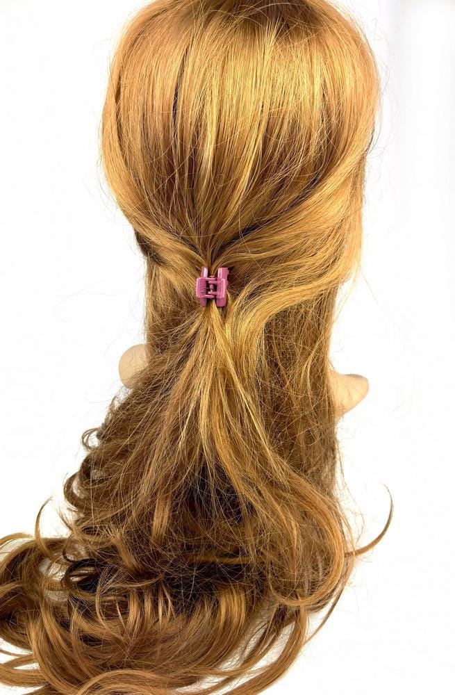 Lot de 2 petites pinces cheveux crabe