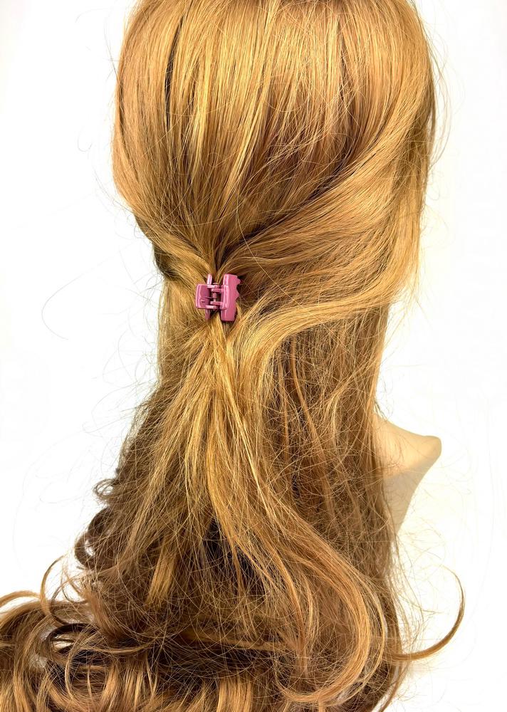 Lot de 2 petites pinces cheveux crabe