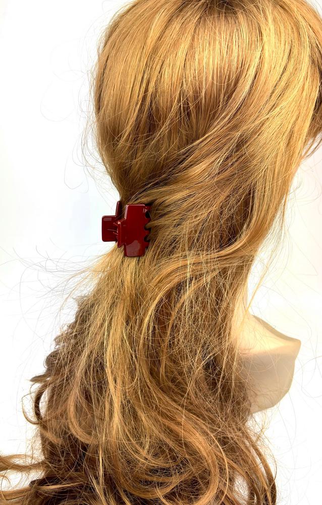 Lot de 2 pinces cheveux crabe