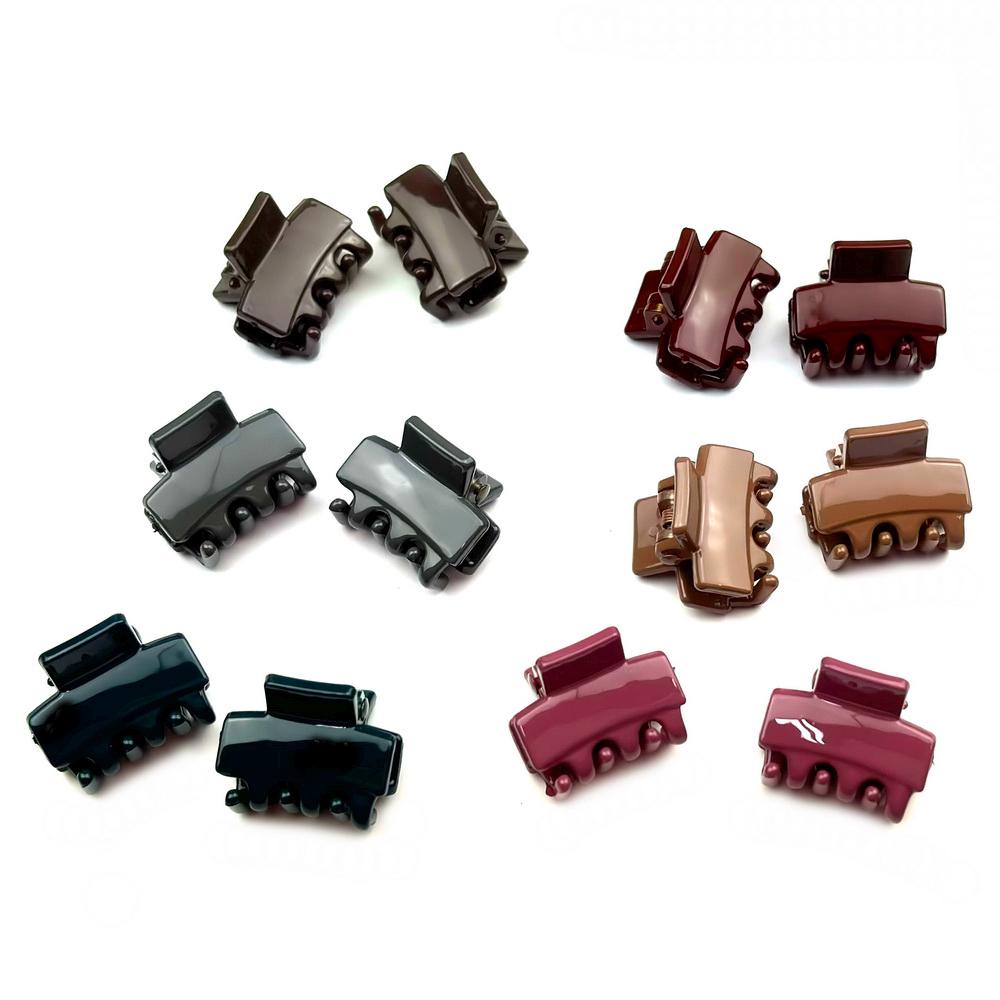 Lot de 2 petites pinces cheveux crabe