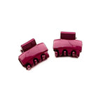 Pinces cheveux crabe, lot de 2