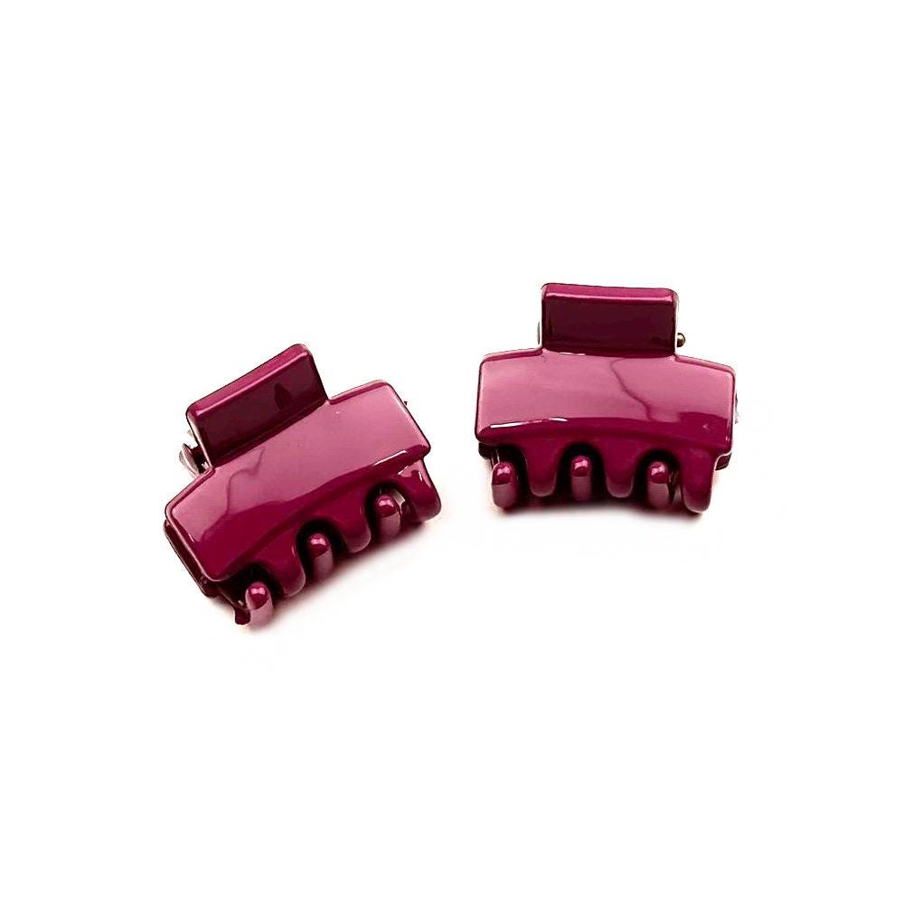 Lot de 2 petites pinces cheveux crabe