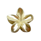 Pince cheveux fleur nacré