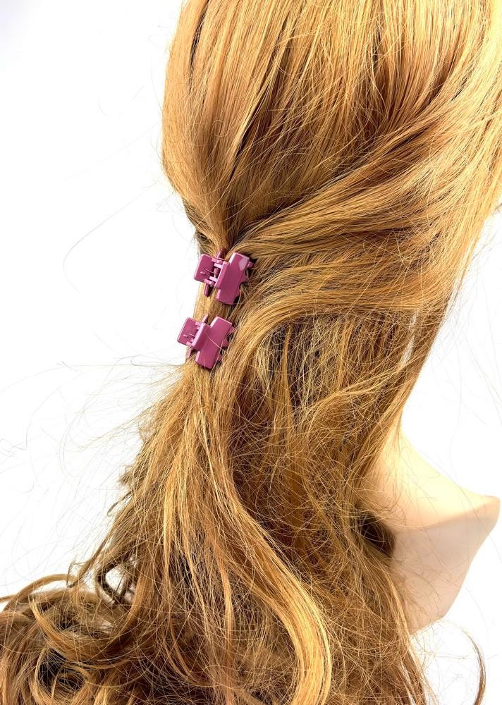 Lot de 2 petites pinces cheveux crabe