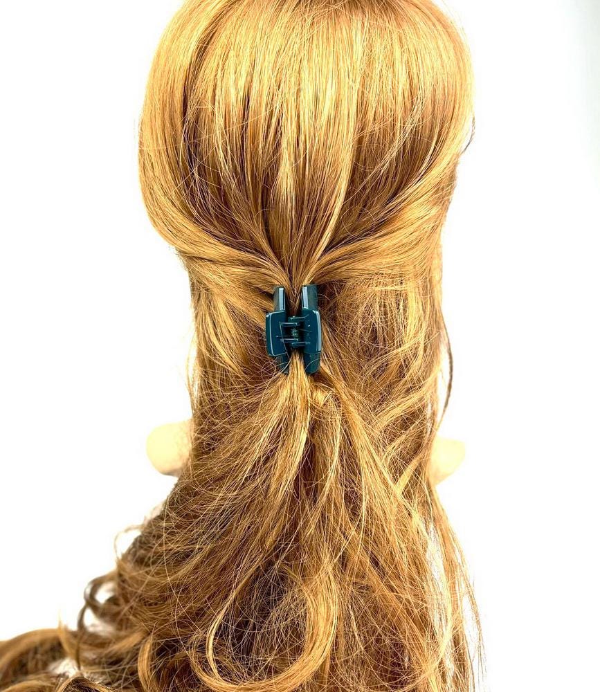 Lot de 2 pinces cheveux crabe