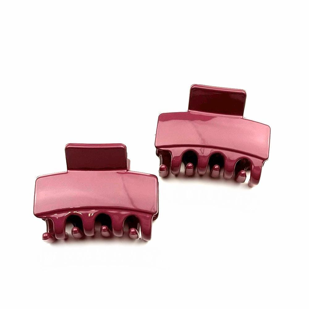 Lot de 2 pinces cheveux crabe