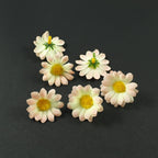 Lot de 20 fleurs marguerites