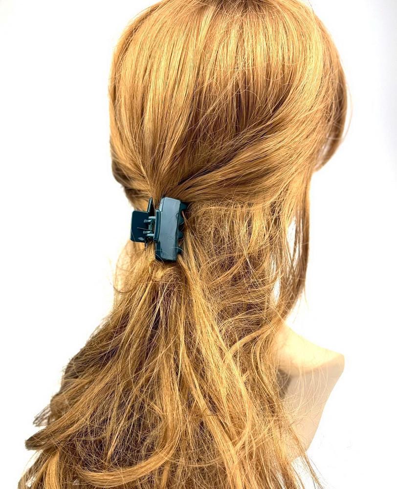 Lot de 2 pinces cheveux crabe