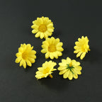 Lot de 20 fleurs marguerites