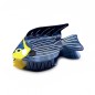 Pince cheveux poisson, acetate
